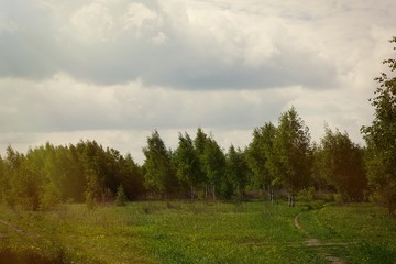 Summer landscape in Russia