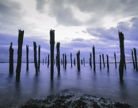 Dock Pilings Boston Harbor