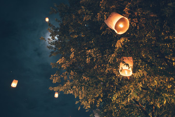 Paper lanterns in the treetop