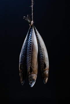 Mackerel Three mackerel fish hanging from a piece if twine
