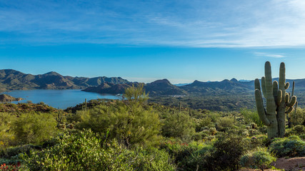 Desert Landscape with Lake