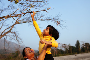 Child reaching up to tree branches from her mother's lap