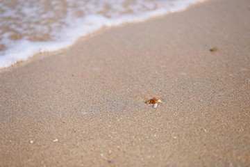 Ocean waves and sandy beach landscape background
