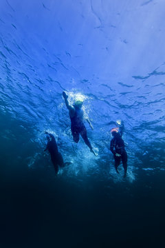 Triathlon Race Leaders During Swim Stage Underwater Athletes