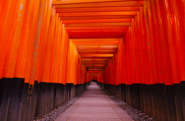 Fototapeta premium 千本鳥居