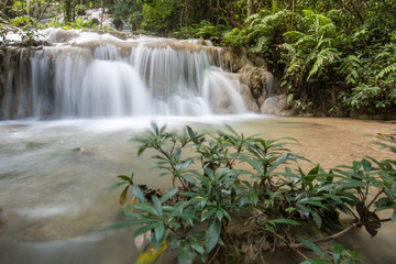 Pu Kaeng waterfall the most beautiful limestone waterfall in Chiang Rai province of Thailand.