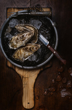 A serving of oysters on ice Seen from above