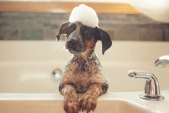 Bath time