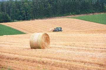 hay,hokkaido,japan