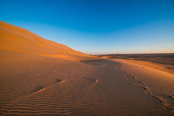 Fototapeta na wymiar beautiful evening landscape in desert 