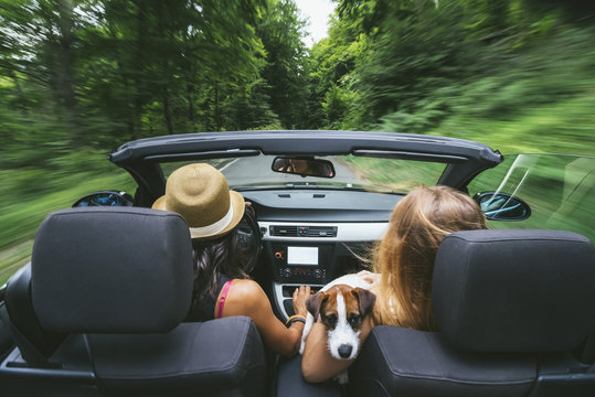 Two female friends and a Jack Russell driving a cabriolet car