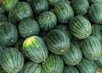 water melon