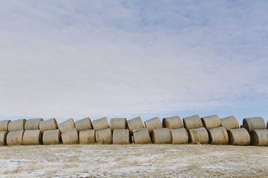Hay Bales on Farm in Winter