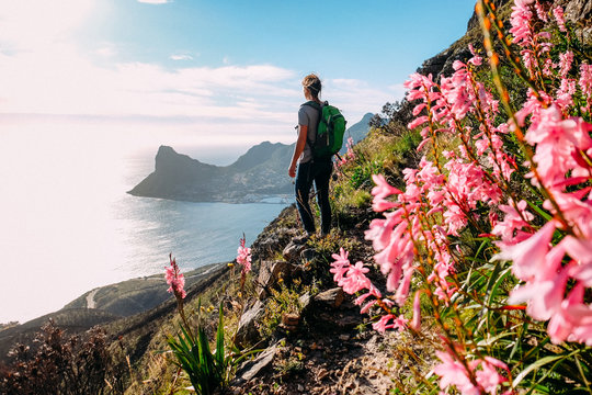 Hiker on a trail with pink flowers and a view of the ocean