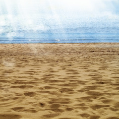 sandy beach in summer