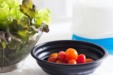 Tomato with green oak lettuce vegetable