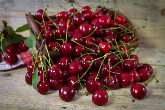 Freshly picked organic cherries in a bowl on a wooden table