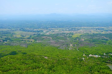 Fototapeta na wymiar Top View of Green Forest Background.