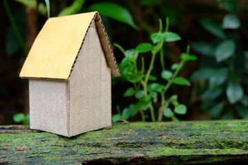 Cardboard House in The Garden.