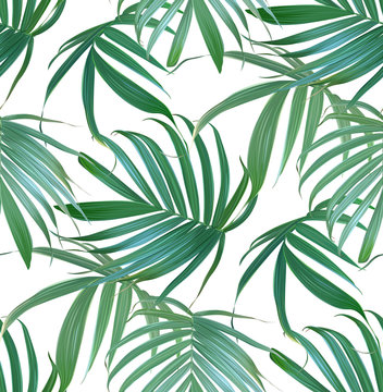  Vector palm frond. Tropical leaves seamless pattern. Banana leaf background. Exotic design isolated. Hawaiian print. Jungle plants. Summer illustration.