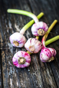 Young garlic on wooden background