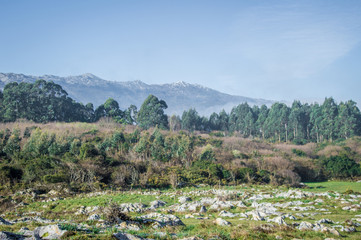 Fototapeta na wymiar Idyllic mountain landscape in Asturias in Spain