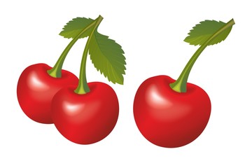 Cherries Isolated Illustration