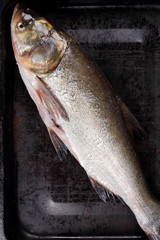 Carp in the home kitchen