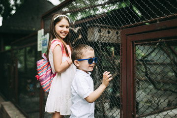 Brother and sister at zoo looking at cage with parrots. Selective focus on boy.