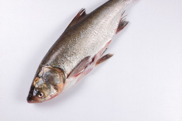 Carp in the home kitchen