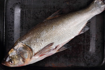 Carp in the home kitchen