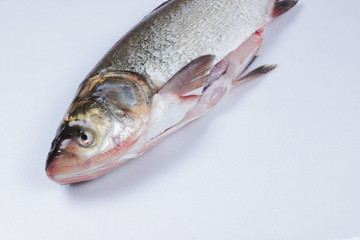 Carp in the home kitchen