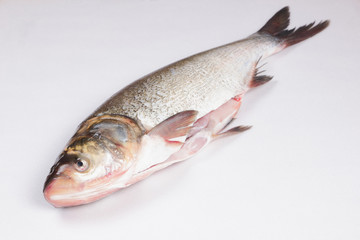 Carp in the home kitchen