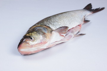 Carp in the home kitchen