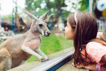Foto op Plexiglas Schattig klein meisje in dierentuin kijken naar kangoeroe. © hedgehog94