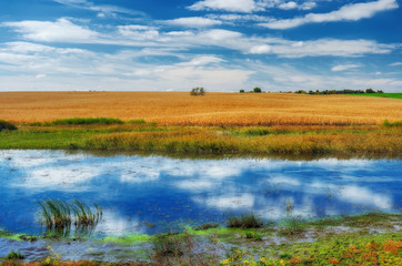 Autumn river