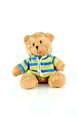 Teddybär
