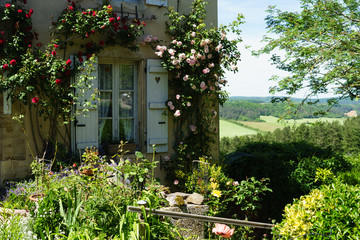 Fototapeta na wymiar F, Burgund, Auxois, Vezeley, blühende Rosen im Hausgarten, Département Yonne, 