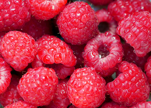 Himbeeren