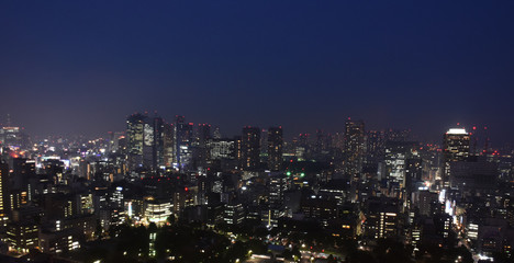 Fototapeta na wymiar 日本の東京都市風景・夜景（東京スカイツリー方向や汐留、晴海などを望む）