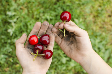 Dirty hands with fruit. Child, hygiene, the concept of proper hygiene education