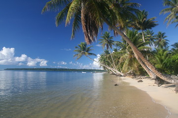 Strand in Mikronesien