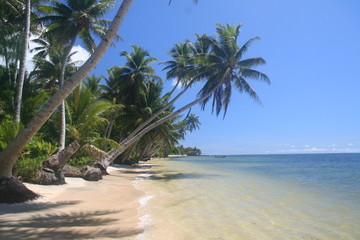 Strand in Mikronesien