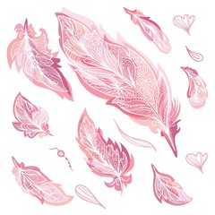 Romantic Vector Feathers Set