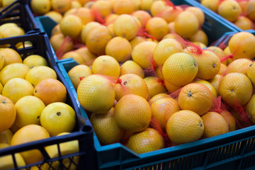 Fresh Oranges On The Market Placed In Boxes