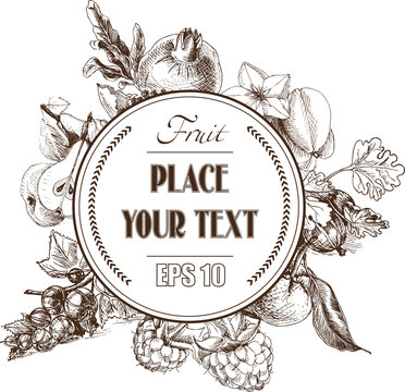 Fruits - Blueberries, raspberries, currants , pomegranate , pear, carom , orange, gooseberry - vector illustration. Vector backgrounds - , sketch fruit.