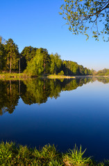 Forest is reflected in the calm blue water of the forest lake. Early morning. Vertical view
