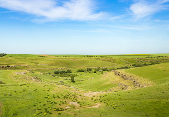 Naklejka premium Nature in the steppe of Kazakhstan in the spring