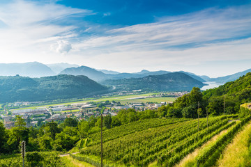 Agno, Switzerland. View of Agno, Lake Lugano, Lugano Airport, vineyards on the hills surrounding, on a beautiful summer day. Agno is a municipality in the district of Lugano in the canton of Ticino - obrazy, fototapety, plakaty