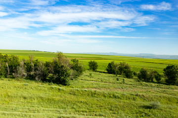 Fototapeta na wymiar Nature in the steppe of Kazakhstan in the spring
